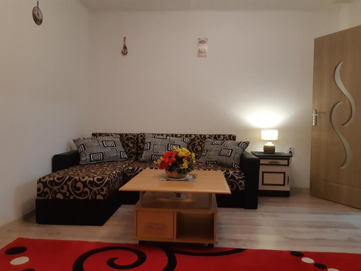 Florin Apartament Sighişoara Exteriér fotografie