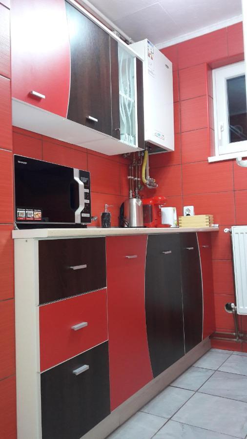 Florin Apartament Sighişoara Exteriér fotografie