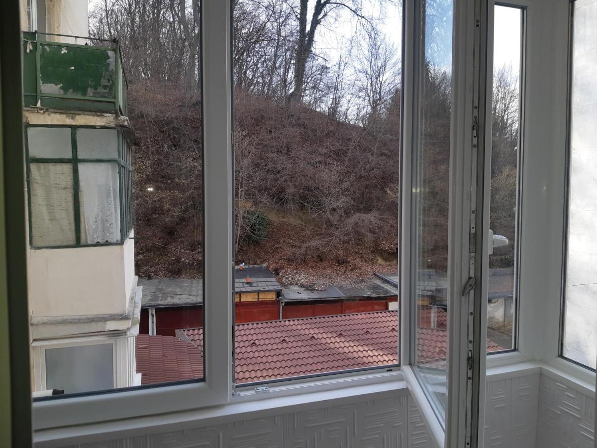 Florin Apartament Sighişoara Exteriér fotografie