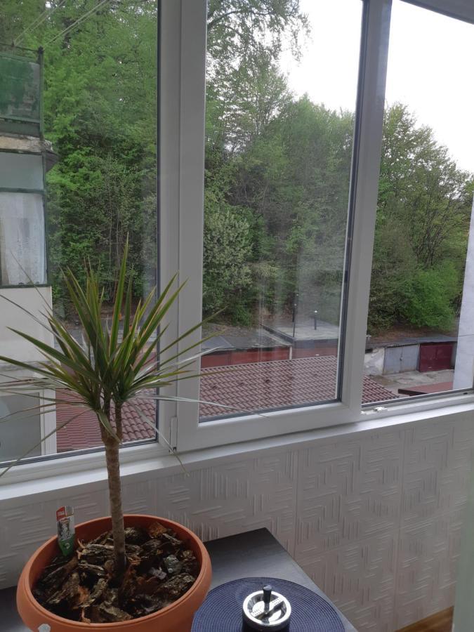Florin Apartament Sighişoara Exteriér fotografie