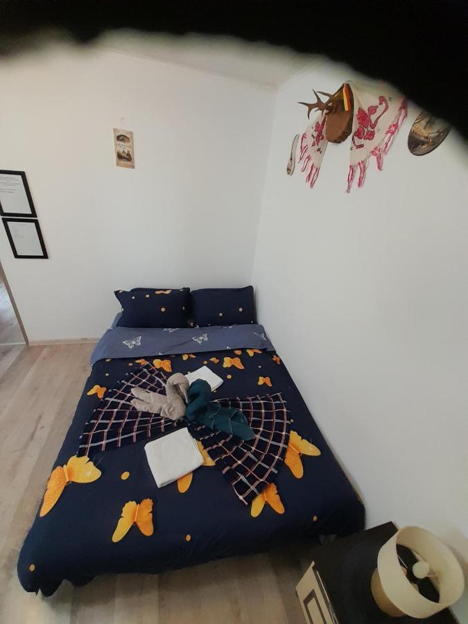 Florin Apartament Sighişoara Exteriér fotografie